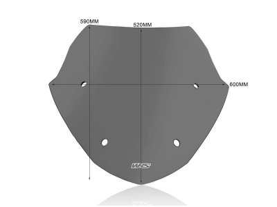 WRS Sport Windschild BMW R 1250 RT