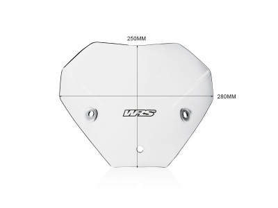 WRS Sport Windschild BMW S 1000 R