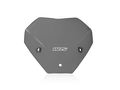 WRS Sport Windschild BMW S 1000 R