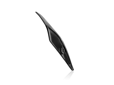 WRS Sport Windschild BMW S 1000 R
