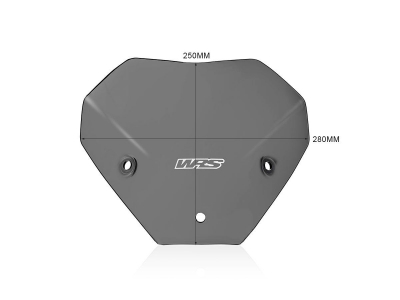 WRS Sport Windschild BMW S 1000 R