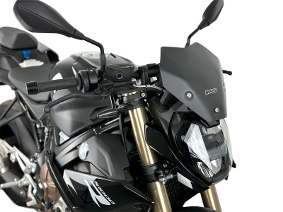 WRS Sport Windschild BMW M 1000 R