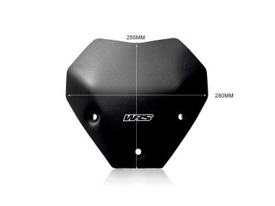 WRS Sport Windschild BMW M 1000 R