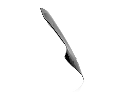 WRS Sport Windschild Yamaha MT-10