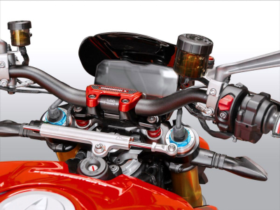 WRS Sport Windschild Ducati Streetfighter V4