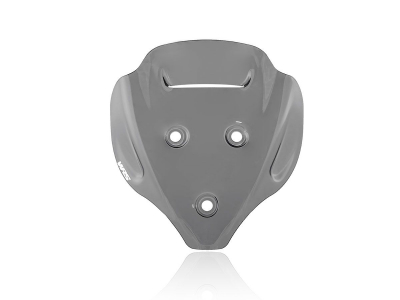 WRS Sport Windschild Ducati Streetfighter V4