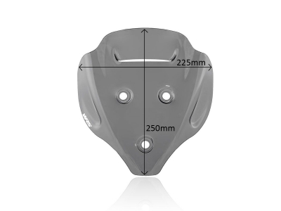 WRS Sport Windschild Ducati Streetfighter V4