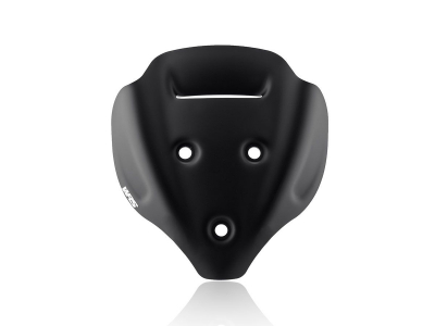 WRS Sport Windschild Ducati Streetfighter V4