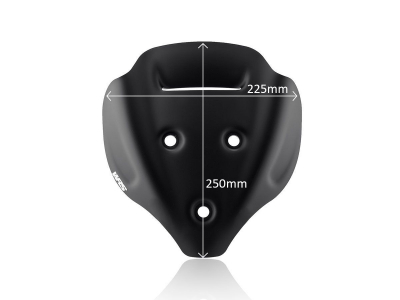 WRS Sport Windschild Ducati Streetfighter V4