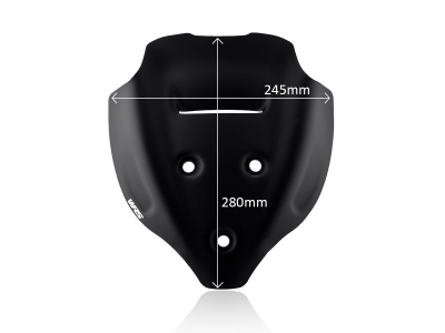 WRS Sport Windschild Ducati Streetfighter V4