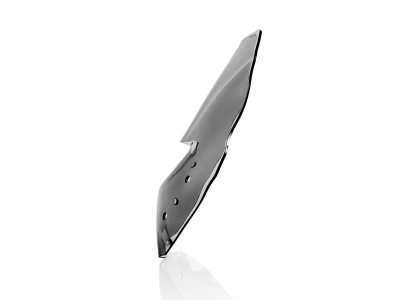 WRS Sport Windschild BMW R 1200 R