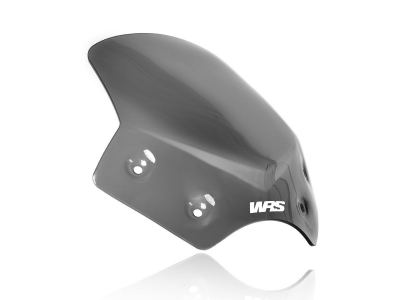 WRS Sport Windschild BMW R 1200 R