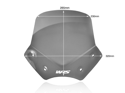 WRS Sport Windschild BMW R 1200 R