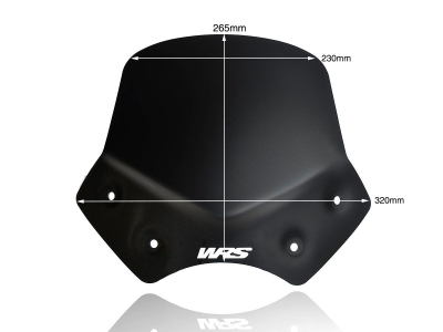 WRS Sport Windschild BMW R 1200 R