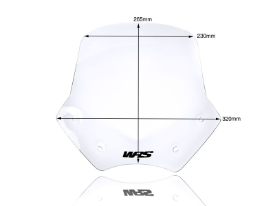 WRS Sport Windschild BMW R 1200 R