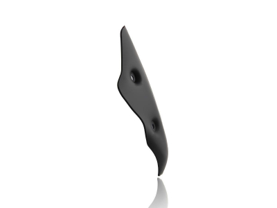 WRS Sport Windschild BMW R 1250 R