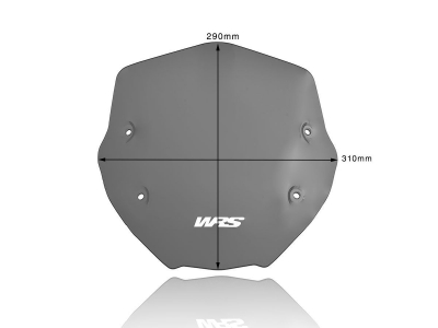 WRS Sport Windschild BMW R 1250 R