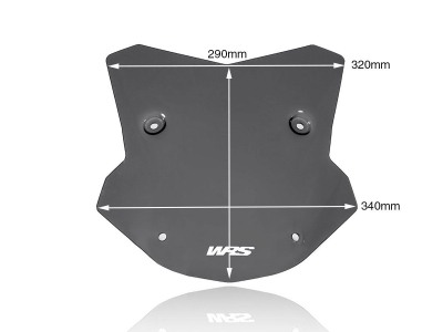 WRS Sport Windschild BMW S 1000 XR