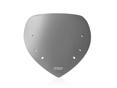 WRS Sport Windschild BMW R 1200 RT
