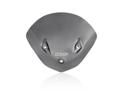WRS Sport Windschild BMW S 1000 R