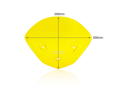 WRS Sport Windschild BMW S 1000 R