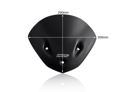 WRS Sport Windschild BMW S 1000 R