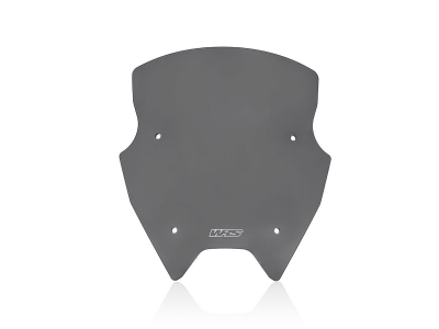 WRS Sport Windschild BMW R 1200 RS