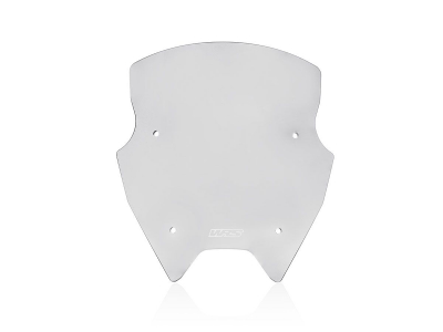 WRS Sport Windschild BMW R 1200 RS