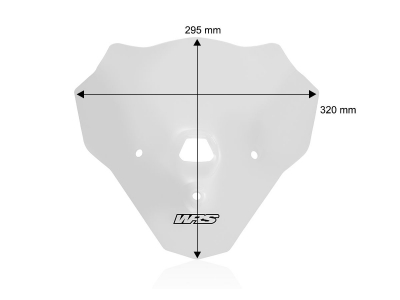 WRS Touring Windschild BMW F 900 R