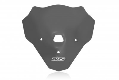 WRS Touring Windschild BMW F 900 R