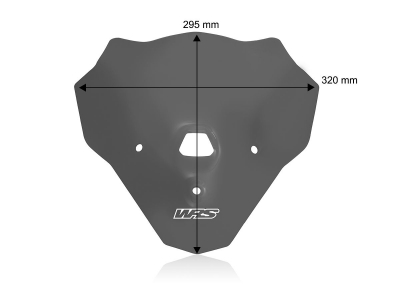 WRS Touring Windschild BMW F 900 R