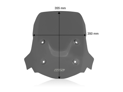 WRS Touring Windschild BMW F 900 GS