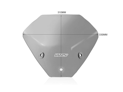 WRS Touring Windschild BMW S 1000 R