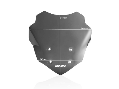 WRS Touring Windschild BMW G 310 GS