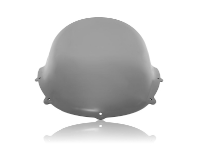 WRS Race Windschild Aprilia RS 125