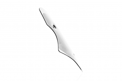 WRS Standard Windschild Ducati Multistrada V4