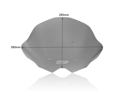 WRS Sport Windschild KTM Duke 790
