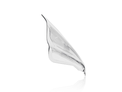 WRS Sport Windschild KTM Duke 790