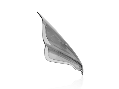 WRS Sport Windschild KTM Duke 790