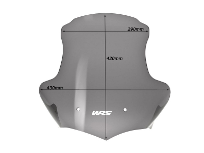 WRS Touring Windschild BMW K 1200 R