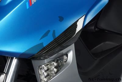Carbon Ilmberger crash pads voor 2-delig BMW C 600 Sport