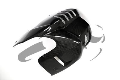 Alern motor Ilmberger carbono BMW F 800 R
