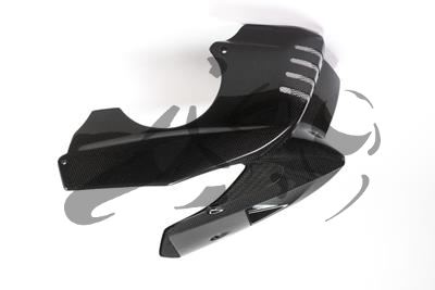 Alern motor Ilmberger carbono BMW F 800 R