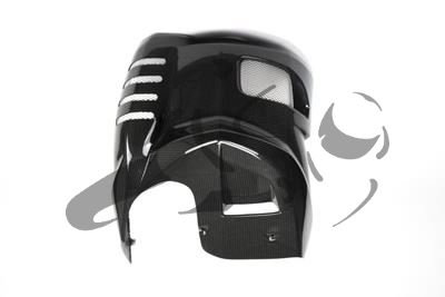 Alern motor Ilmberger carbono BMW F 800 R