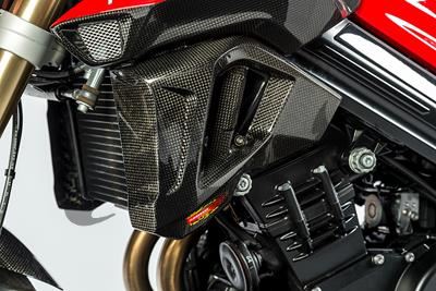 Carbon Ilmberger Wasserkhlerverkleidung Set BMW F 800 R