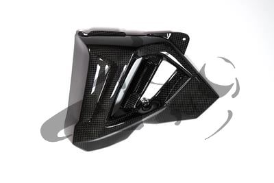 Carbon Ilmberger Wasserkhlerverkleidung Set BMW F 800 R