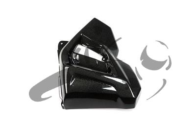 Carbon Ilmberger Wasserkhlerverkleidung Set BMW F 800 R