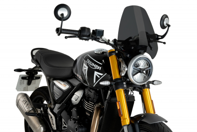 Puig Sportscheibe Triumph Speed 400