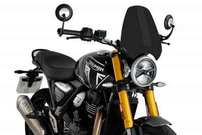 Puig Sportscheibe Triumph Speed 400
