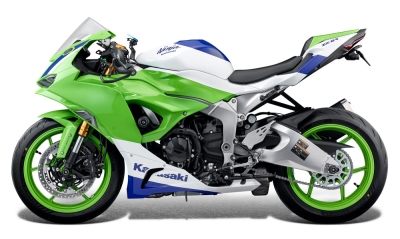 Performance Achsenschutz Kawasaki Ninja ZX-6R